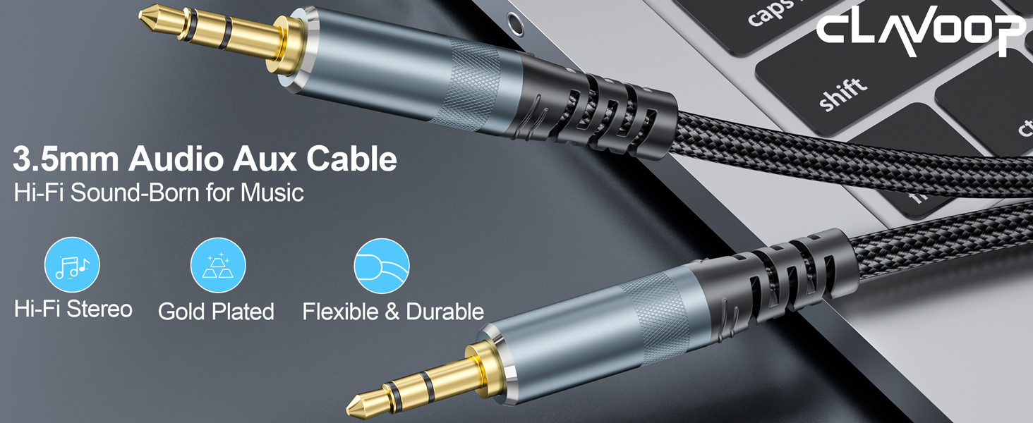 aux cable 10ft