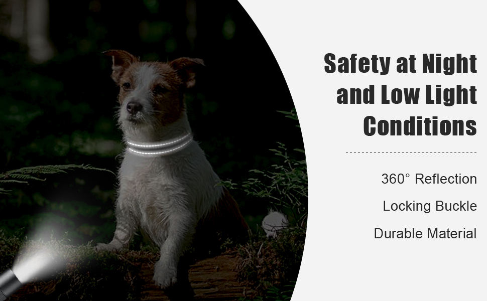 dog collar