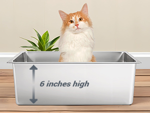 high wall litter box