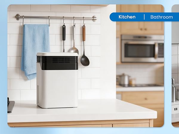 Dehumidifier