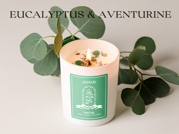 Eucalyptus Scented Candles