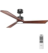 ceiling fan with light