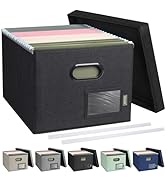 BALEINE File Organizer Box with Lid, Collapsible File Folder Organizer with Plastic Slide, Filing...