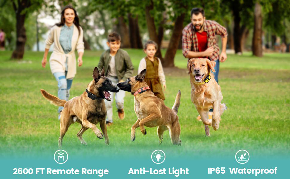 shock collars for dogs with remote 3 pack