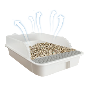 kitten litter boxes