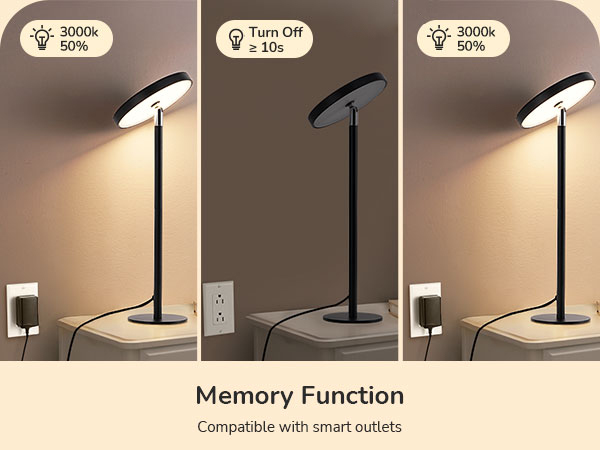 Memory Function