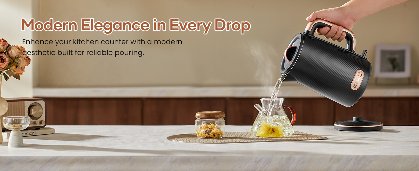 OLEGA Electric Kettle