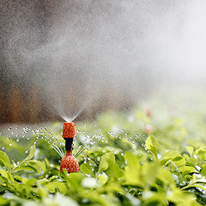 Outdoor Extension Cord Cover