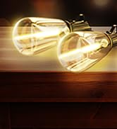 Outdoor Lights