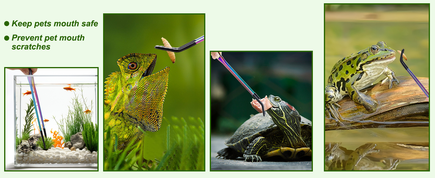 reptile tweezers