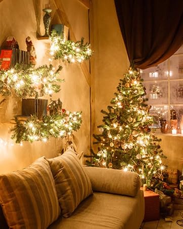 Starry String Lights Outdoor Indoor