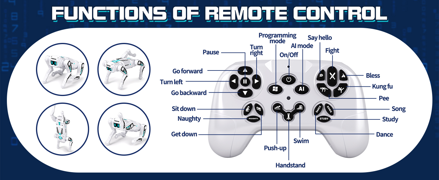 remote