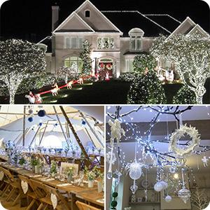 solar fairy lights