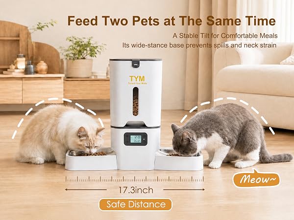 auto cat feeder