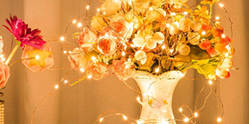 led fairy lights