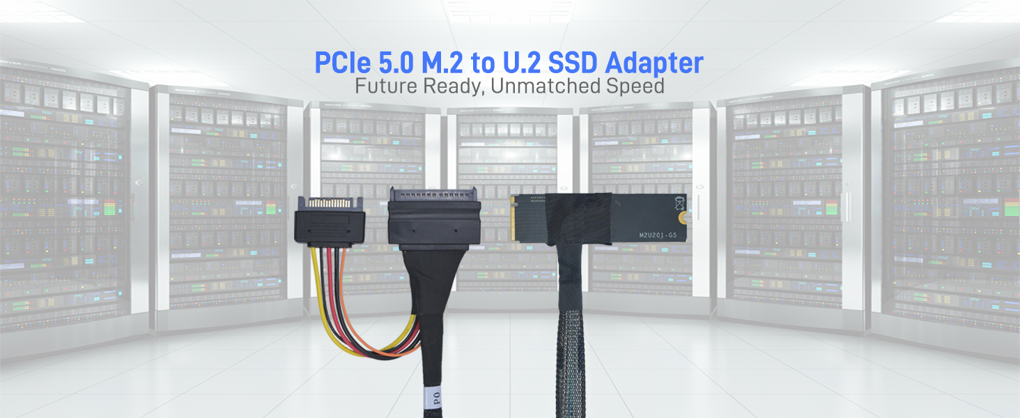 LetLinkSo Gen5 PCIe 5.0 U.2 to M.2 Adapter Card SFF-8639 to M2 NVMe SSD Cable