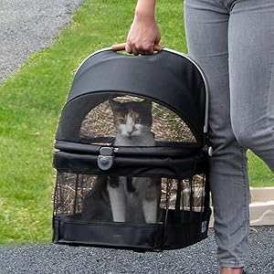 carry