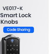 smart lock with handle set
