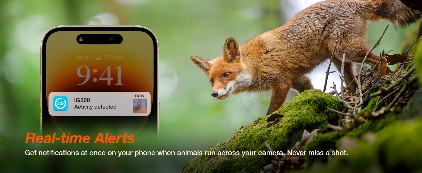 trail camera