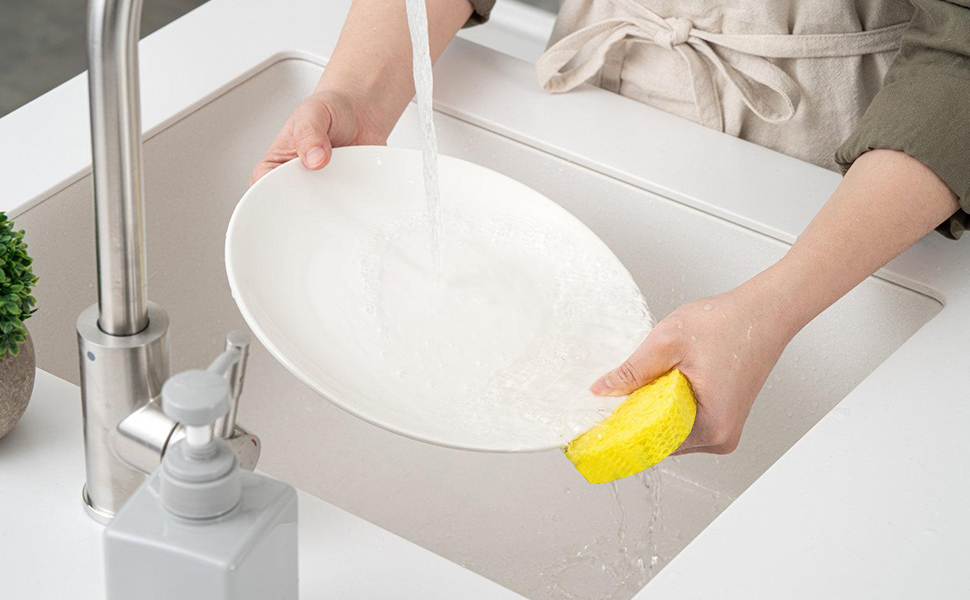 Compressed Sponges