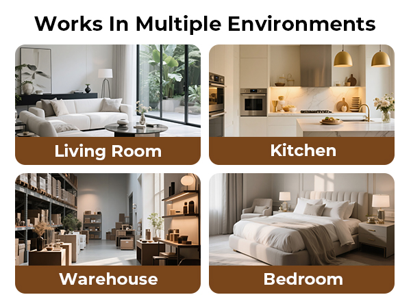 alarms for doors and windows