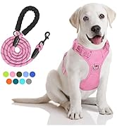 PoyPet No Pull Dog Harness and 5 Feet Leash Set, Release on Neck Reflective Adjustable Pet Vest, ...