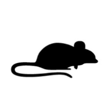 Tomcat Kill & Contain Mouse Trap