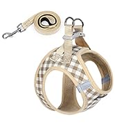 Step-in Puppy Pet Vest
