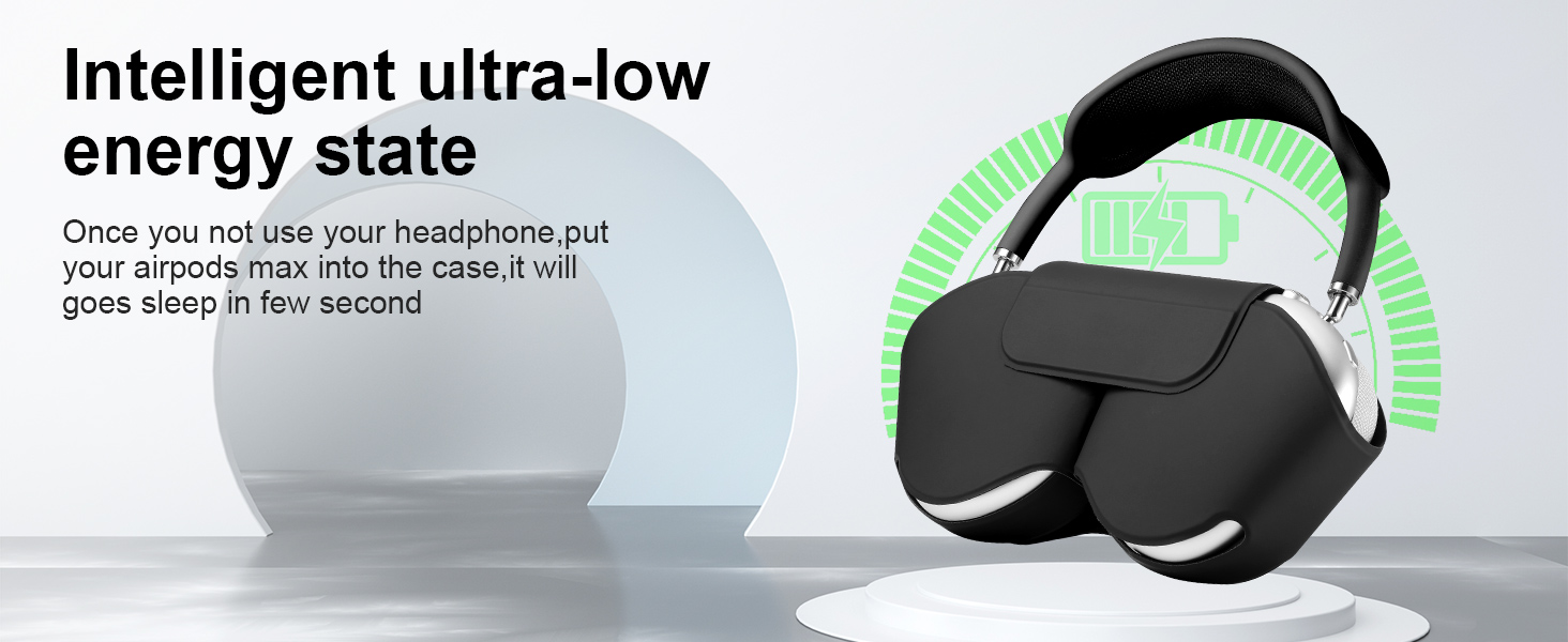 AirPods max case