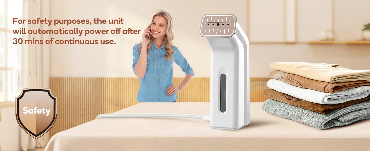 100V/240V steamer