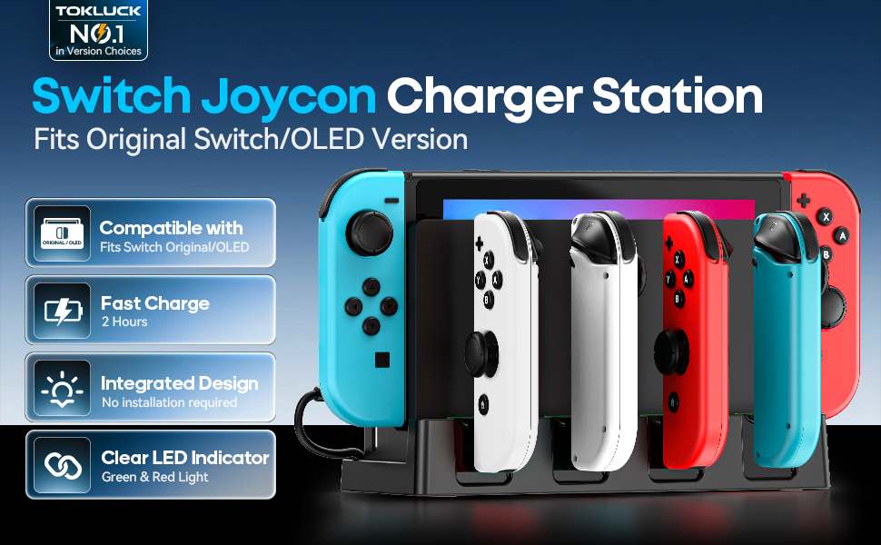 Nintendo Switch Charger
