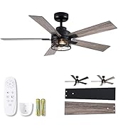 Wellspeed 46 Inch Farmhouse Ceiling Fans with Lights and Remote, Black Industrial Caged Rustic Ce...