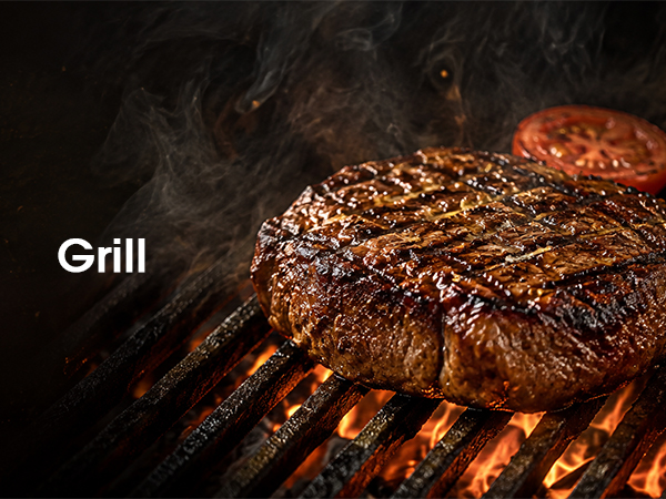 meat thermometer