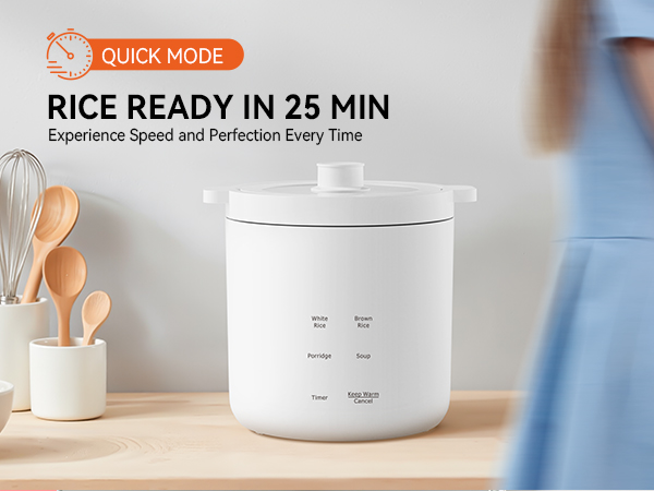 small cooker electric