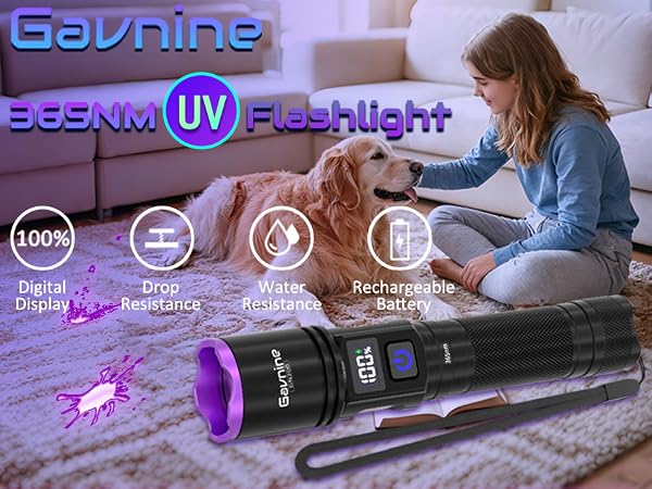 UV-LIGHT