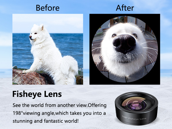 fisheye lens