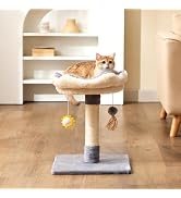 Gardner Pet 20" Cat Tree, Solid Wood Small Cat Tree, Compact Cat Tower Perch for Kittens (Grey, C...