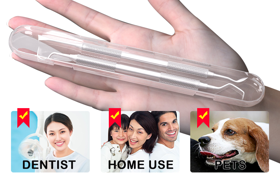 teeth cleaning tools for dentist, personal, pet dogs