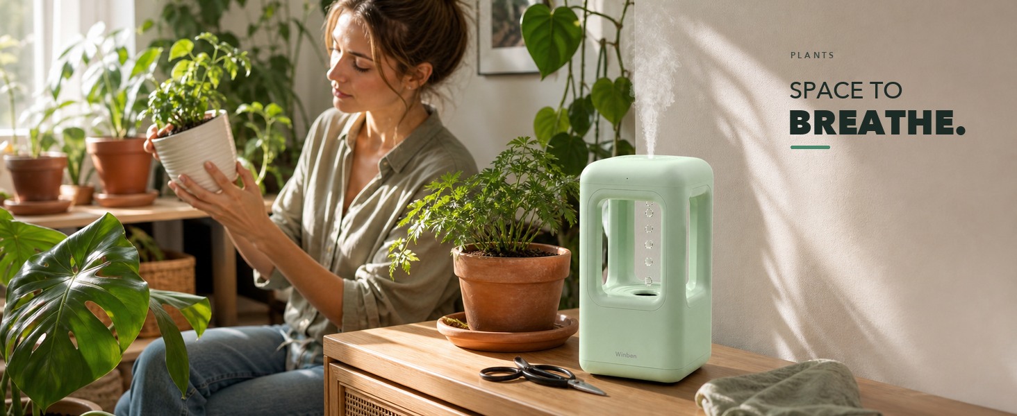 WINBEN green cool mist humidifier running in a sunlit, plant-filled home corner