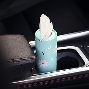 Car tissue