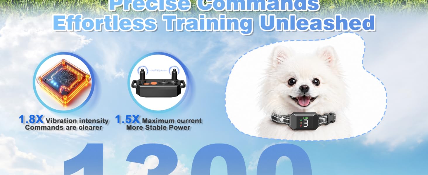 Small Shock Collar for Dogs