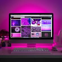 monitor backlights