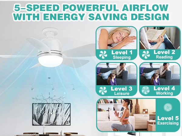 Ceiling Fans with Lights and Remote