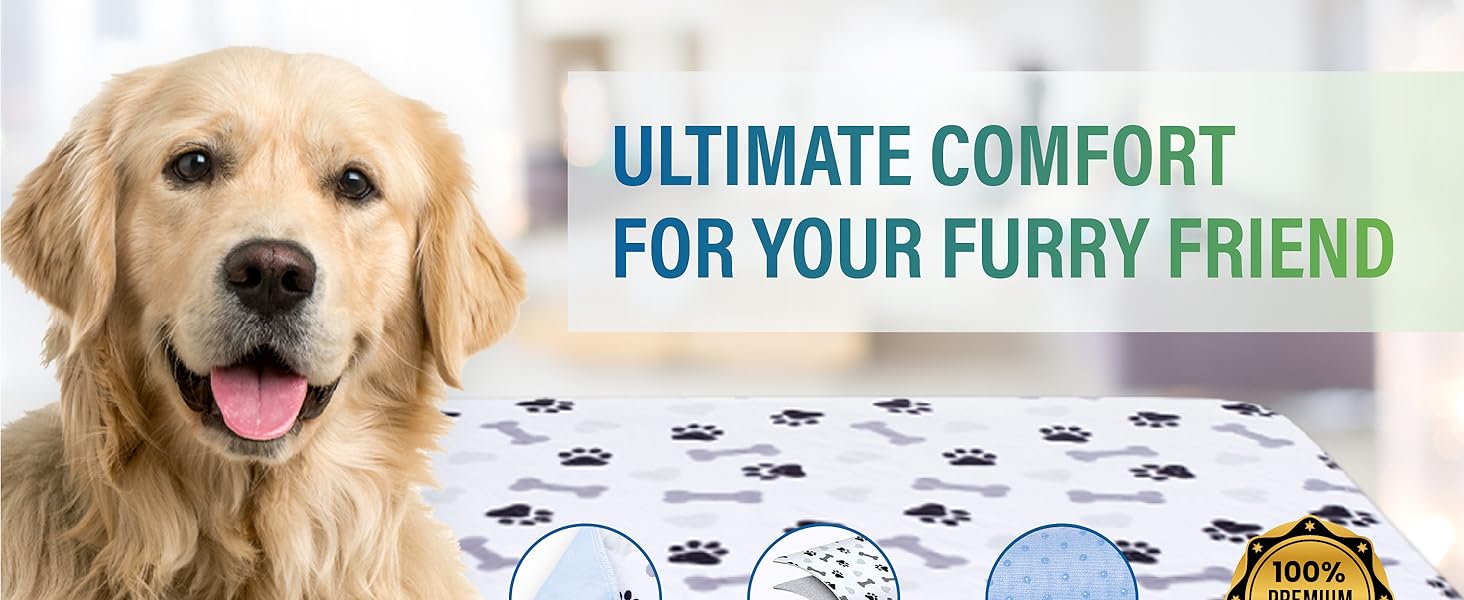 washable pee pads for dogs