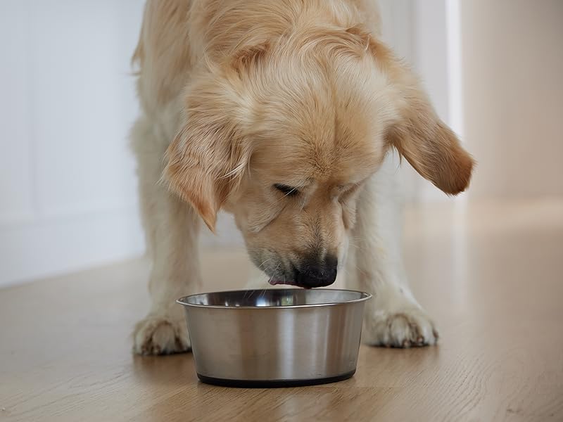 Dog bowls, dog water bowl, cat bowls