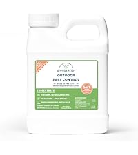 https://m.media-amazon.com/images/I/31kBxCxoC1L.__AC_SR200,225___.jpg