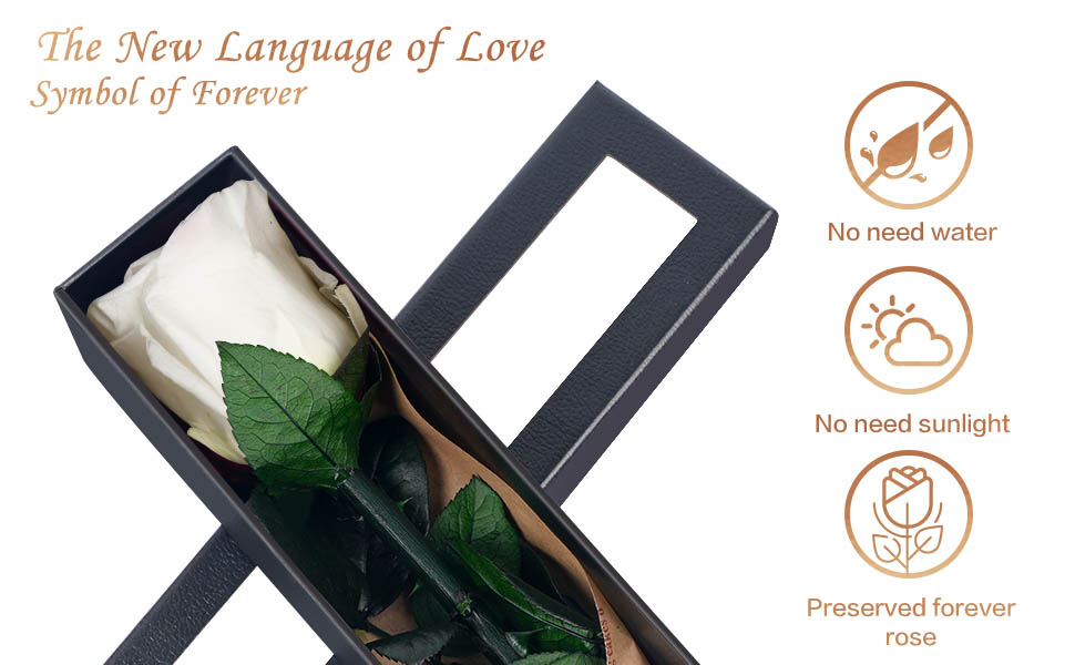 Gifts for Women