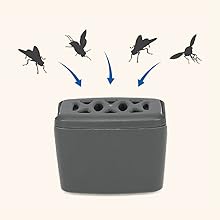 Graphic animation of flies going into the flying insect trap
