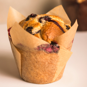 Muffin Liners