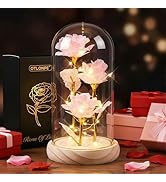 Otlonpe Mothers Day Flowers Gifts for Mom from Daughter Son, Preserved Forever Glass Light Up Ros...
